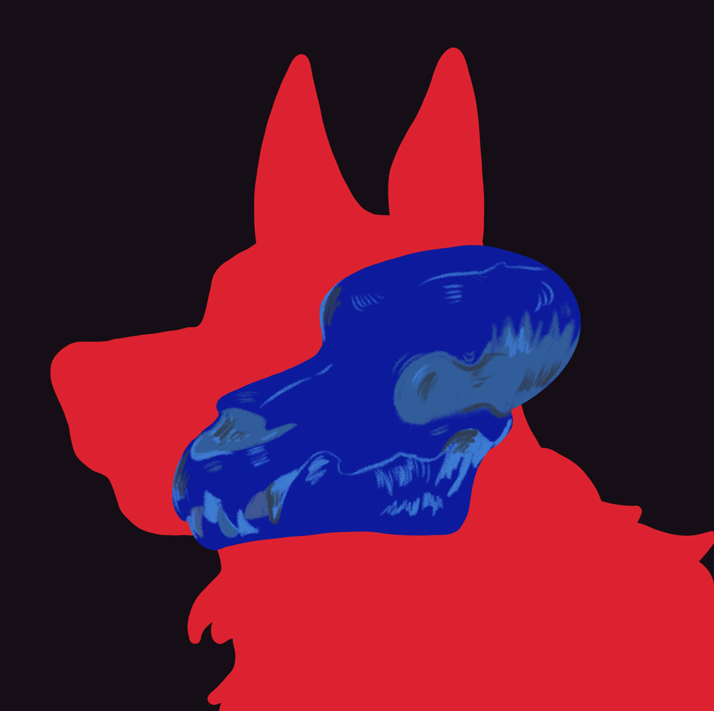 Illustration d'un crâne de chien superposé sur un chien.