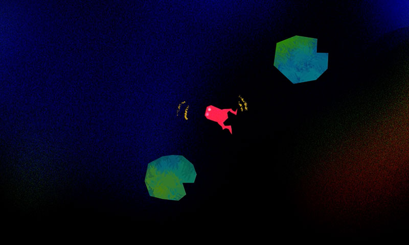 image de mon animation de grenouille qui nage.
