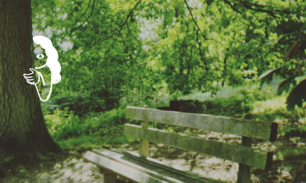 Photographie du banc dans ma forêt, et de moi cachée derrière un arbre.